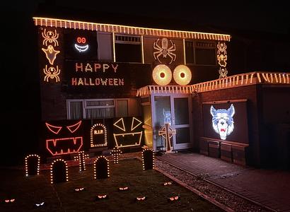 Willow View Lights